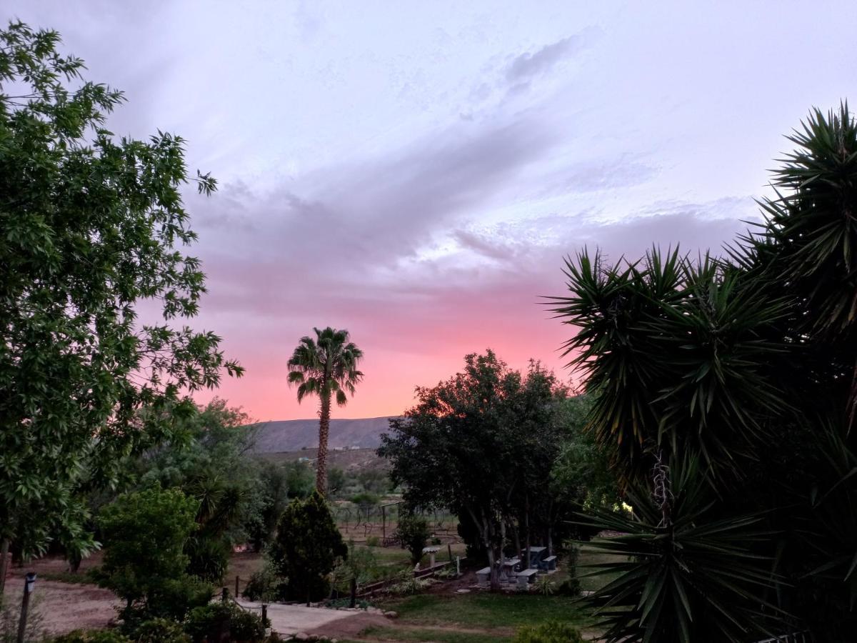 Karoo Life B&B Calitzdorp Luaran gambar