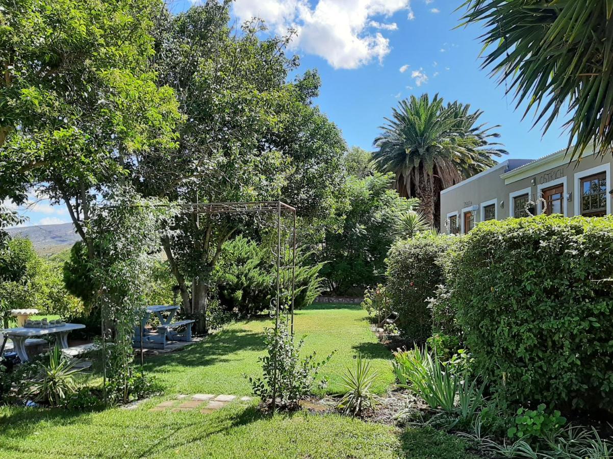Karoo Life B&B Calitzdorp Luaran gambar