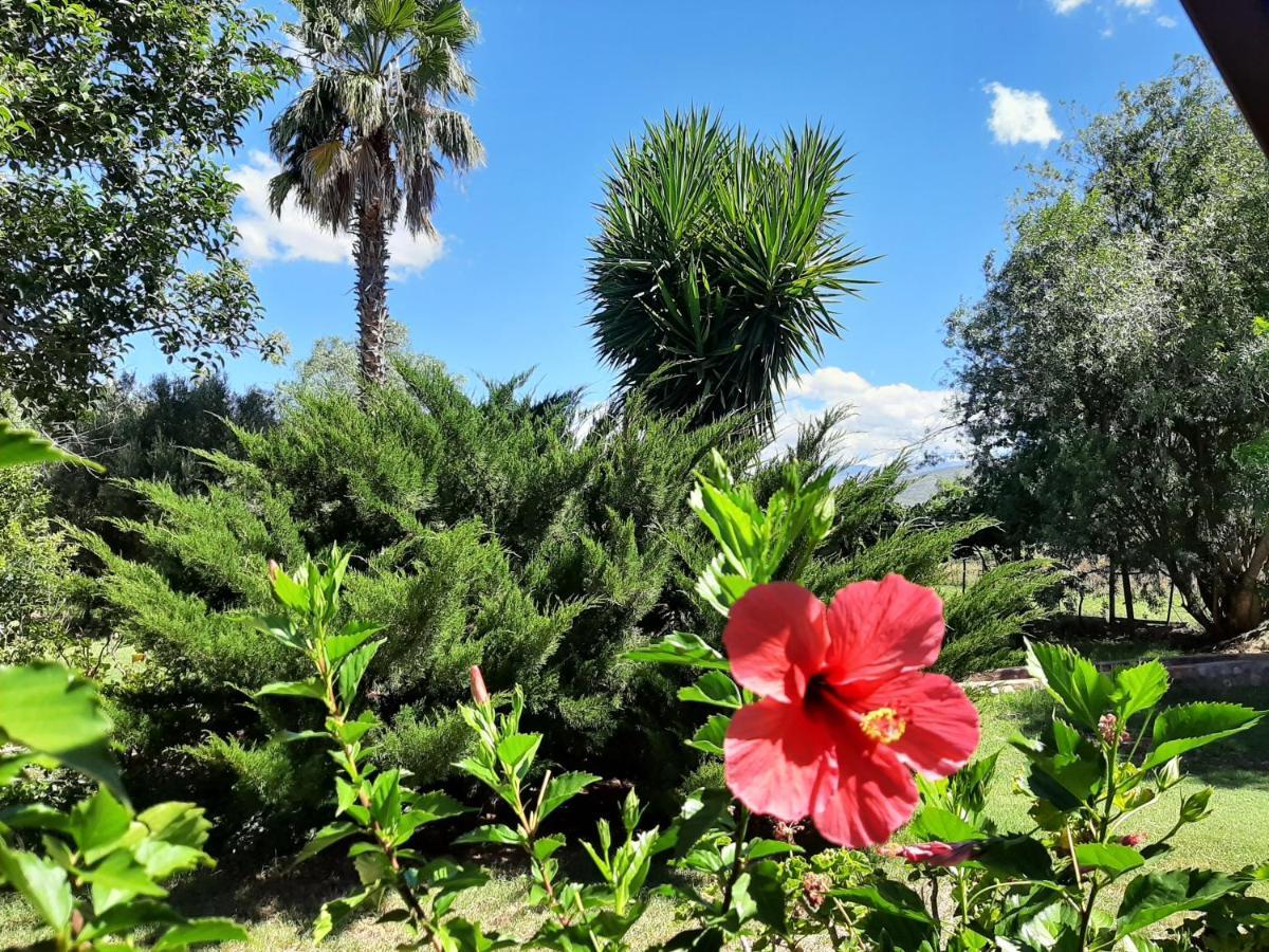 Karoo Life B&B Calitzdorp Luaran gambar
