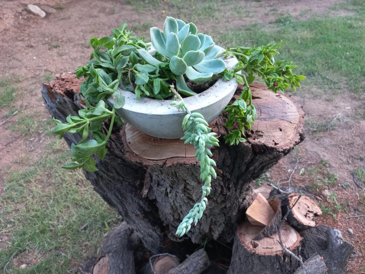 Karoo Life B&B Calitzdorp Luaran gambar